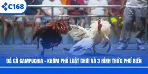 Đá Gà Campuchia - Khám Phá Luật Chơi Và 3 Hình Thức Phổ Biến
