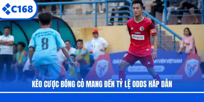 Kèo cược bóng cỏ mang đến tỷ lệ Odds hấp dẫn